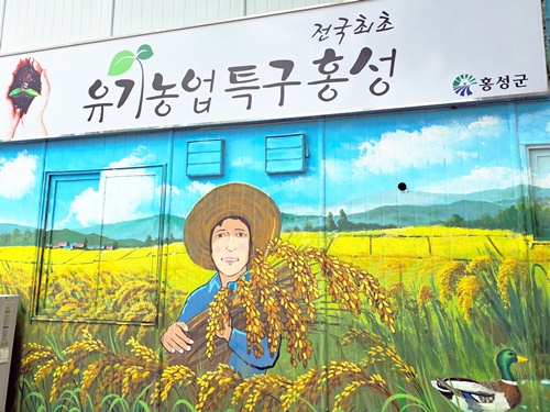 홍성군, ‘유기농업특구’ 친환경 들녘 벽화로 새단장 기사 이미지